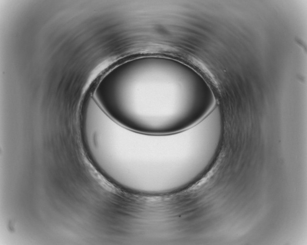 X0000094441122200711081019