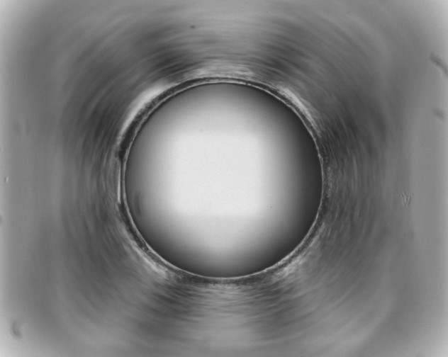 X0000094441123200711081019