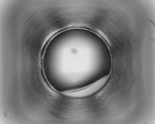 X0000094441124200711081019