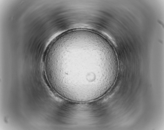 X0000094441125200711081019