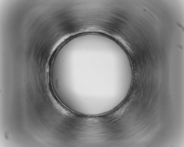 X0000094441126200711081019