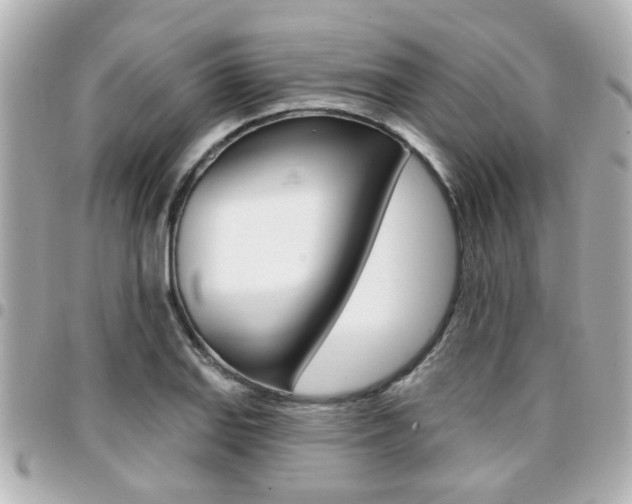 X0000094441127200711081020