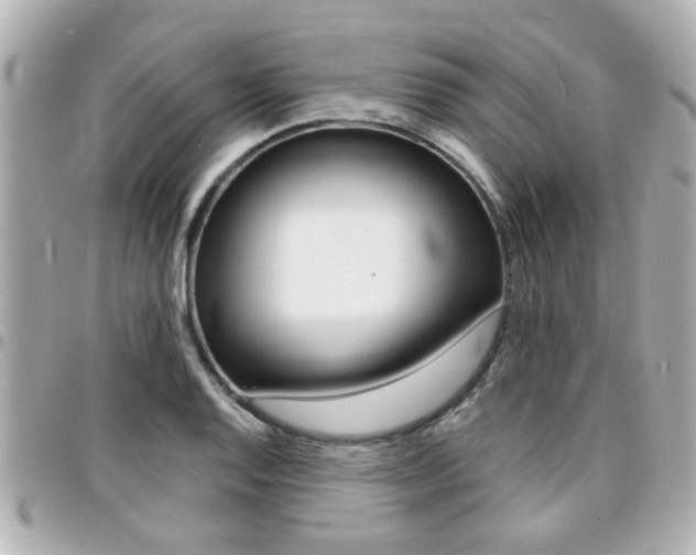 X0000094441128200711081020