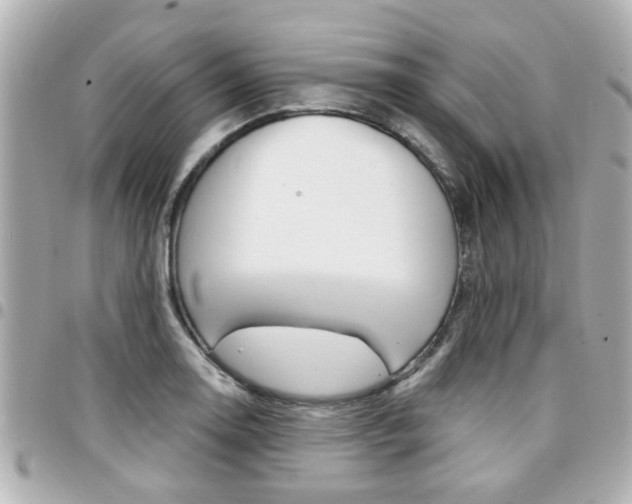 X0000094441130200711081020
