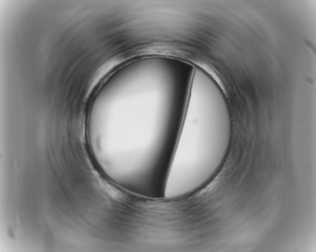 X0000094441131200711081020