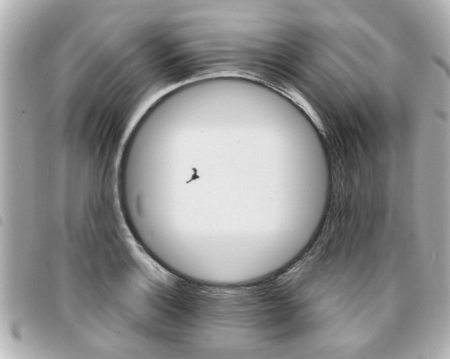 X0000094441132200711081020