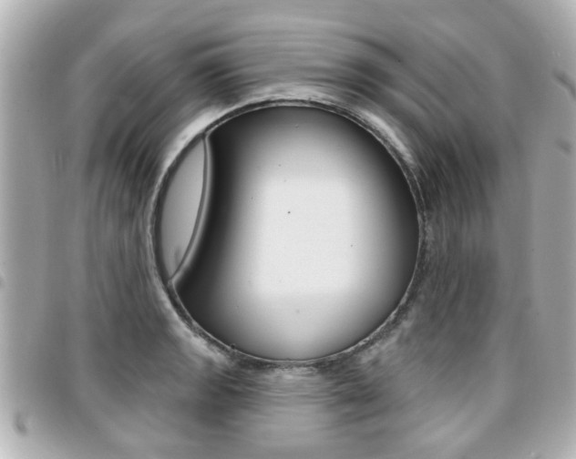 X0000094441133200711081020
