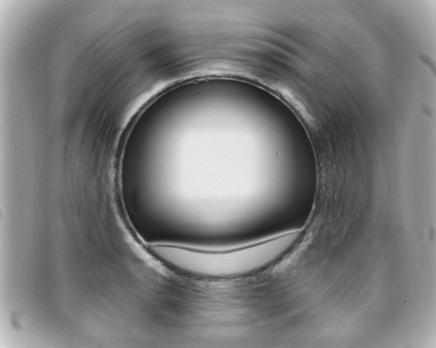 X0000094441134200711081020