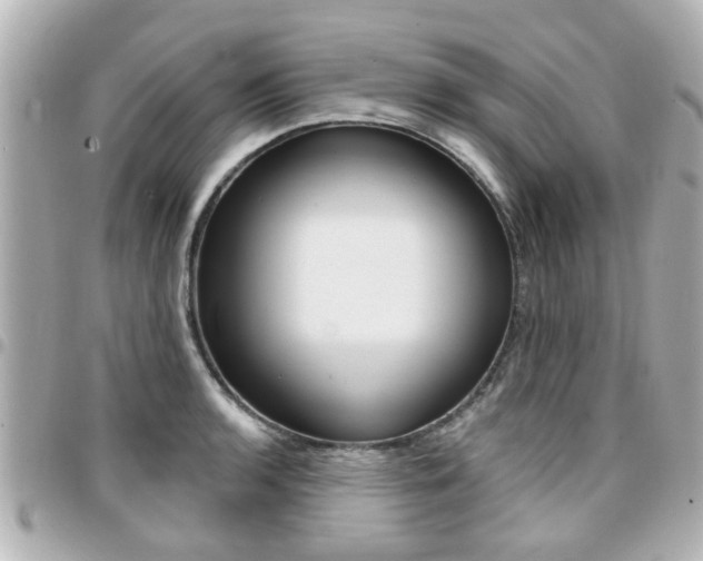 X0000094441136200711081020
