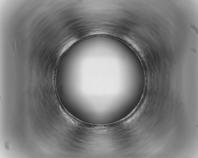 X0000094441137200711081020