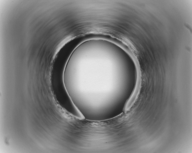 X0000094441138200711081020