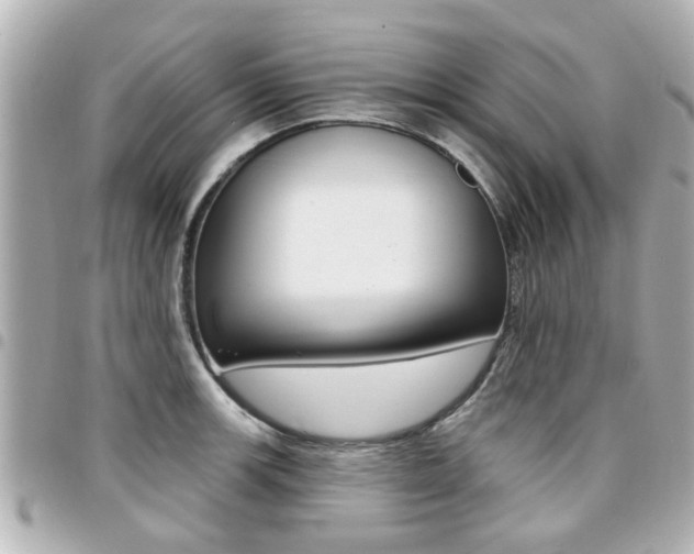 X0000094441139200711081020