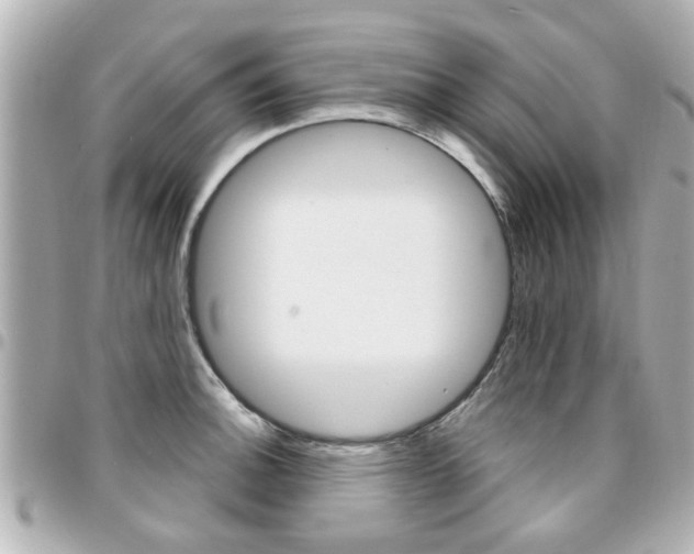 X0000094441140200711081020