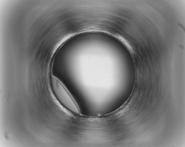 X0000094441142200711081020