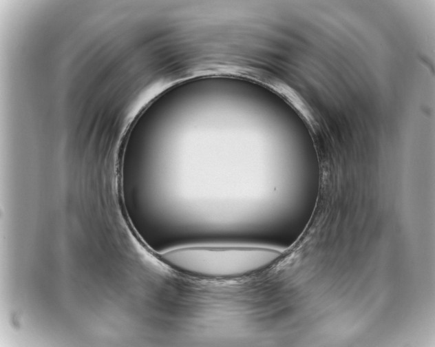 X0000094441143200711081020