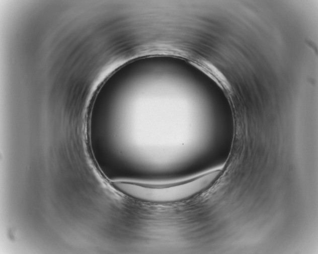 X0000094441144200711081020