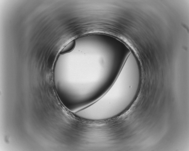 X0000094441145200711081020