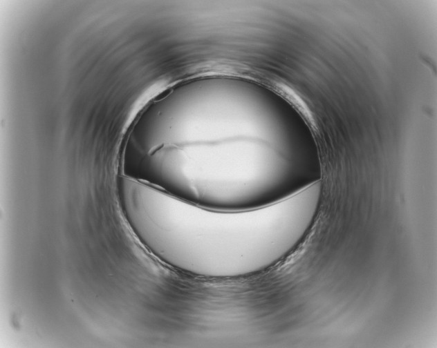X0000094441146200711081020