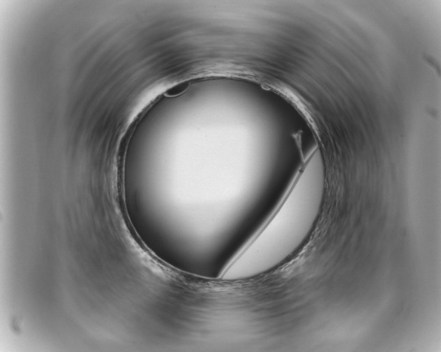 X0000094441147200711081020