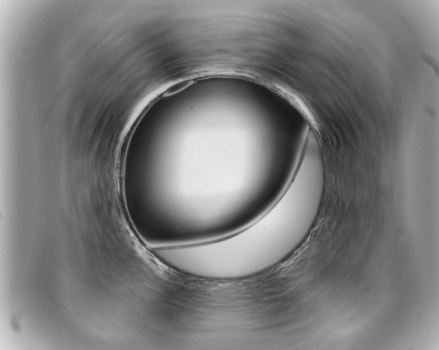 X0000094441148200711081020