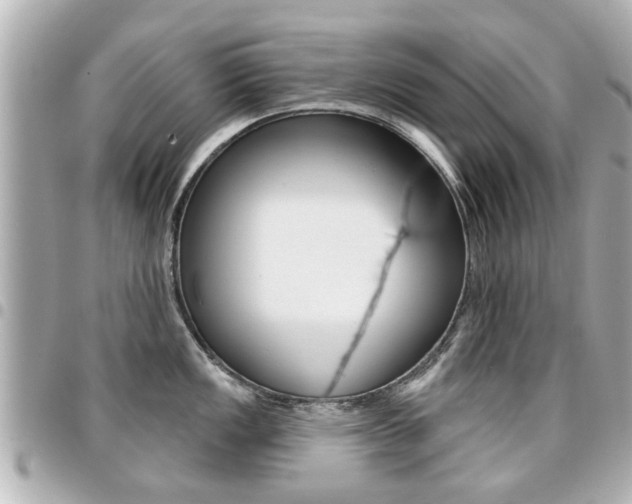 X0000094441149200711081020