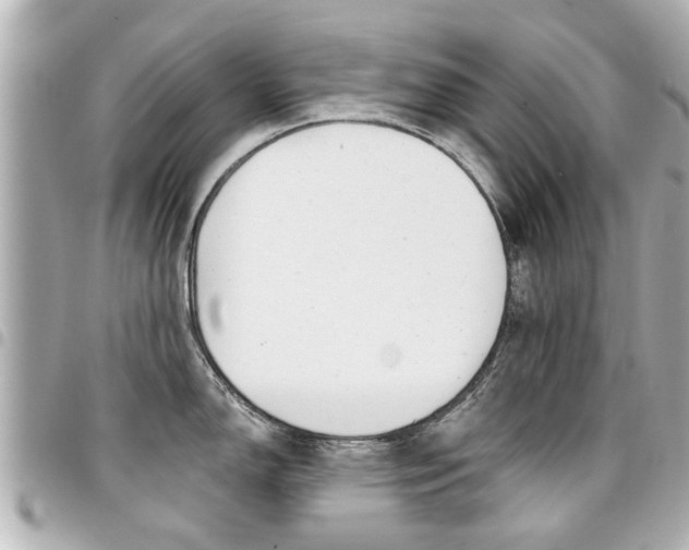 X0000094441150200711081020