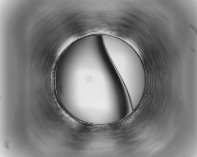 X0000094441151200711081020