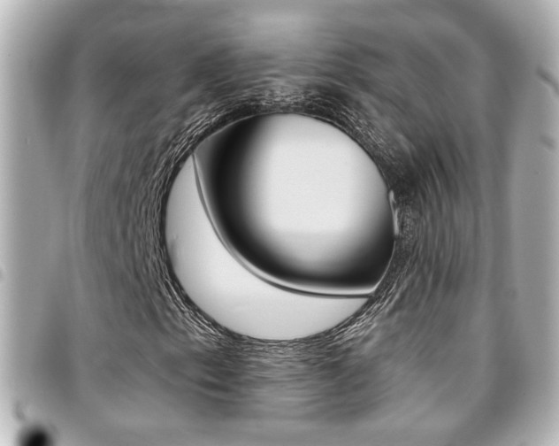 X0000094441153200711081019