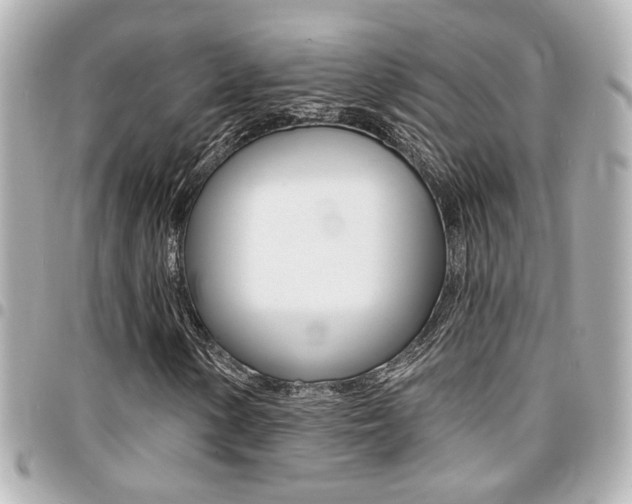 X0000094441154200711081019