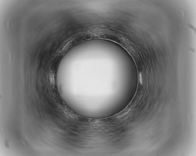 X0000094441155200711081019