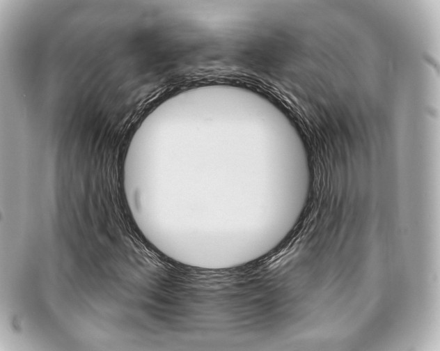 X0000094441156200711081019
