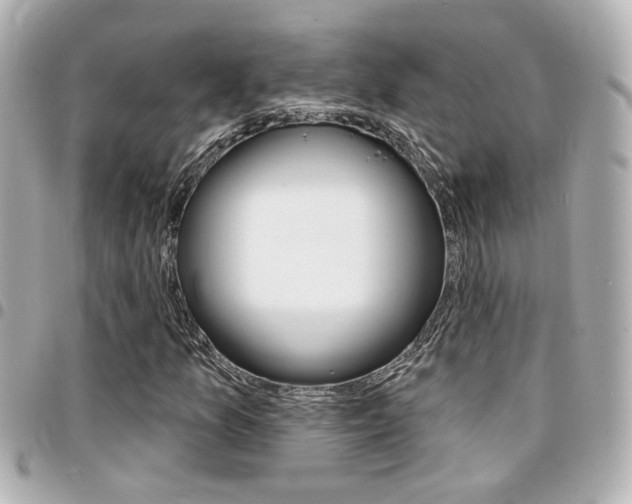 X0000094441157200711081019
