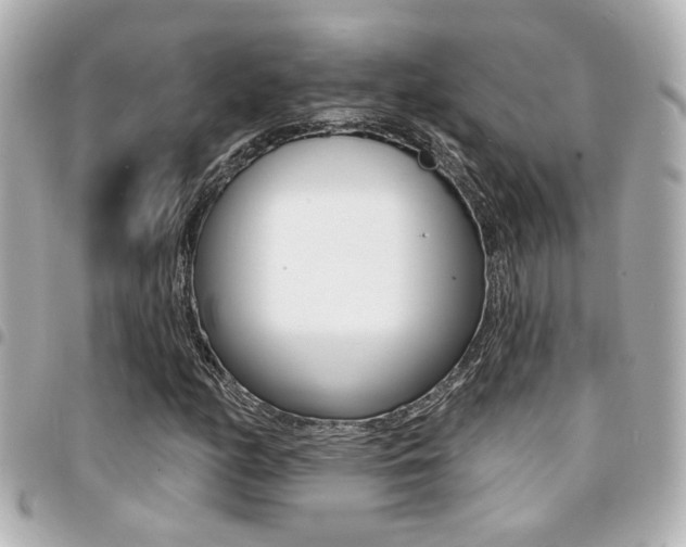 X0000094441158200711081019
