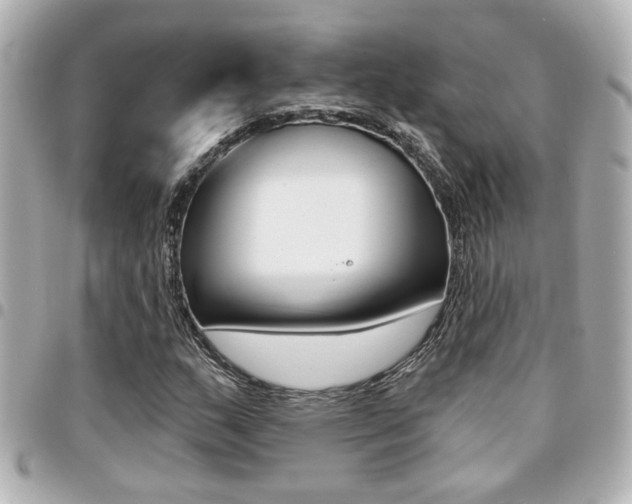 X0000094441159200711081019