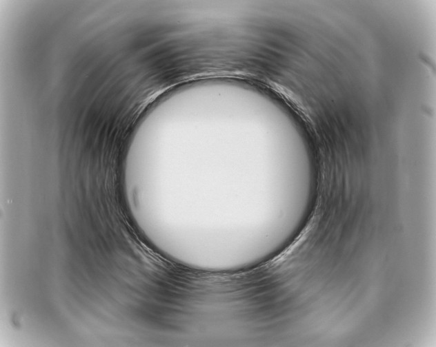 X0000094441161200711081019