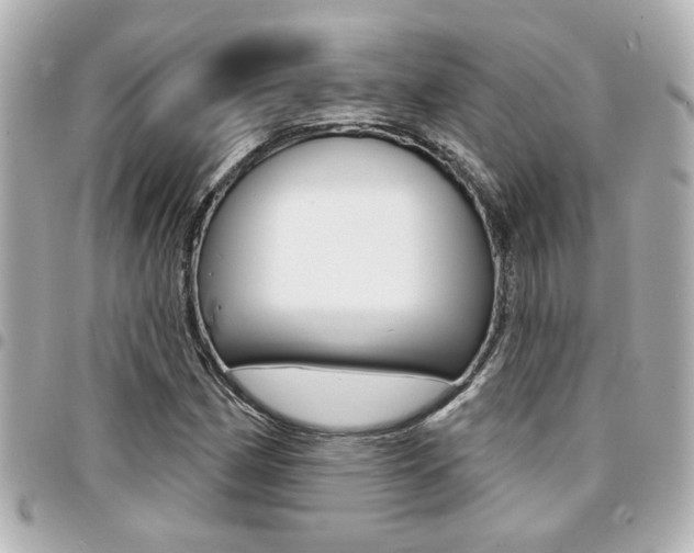 X0000094441162200711081019