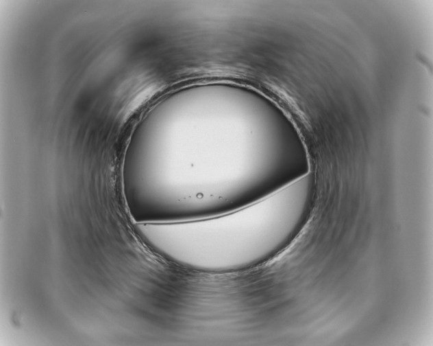 X0000094441163200711081019