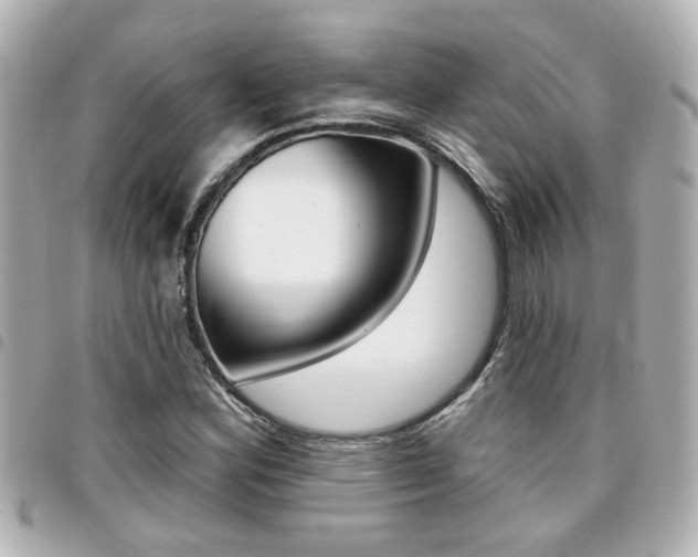 X0000094441164200711081019