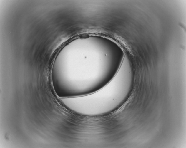 X0000094441165200711081019