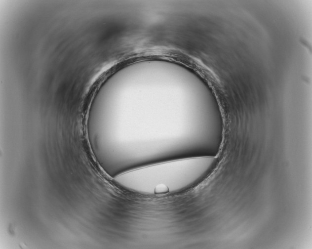 X0000094441166200711081019