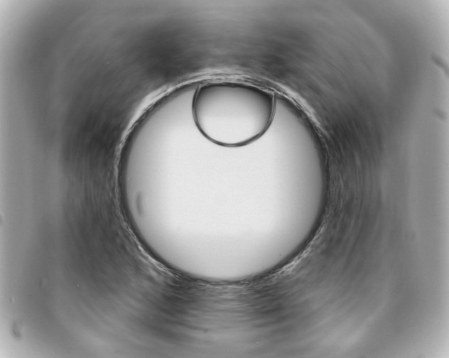 X0000094441168200711081019