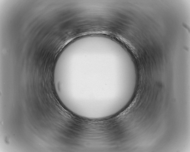 X0000094441169200711081019