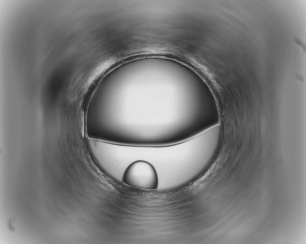 X0000094441171200711081019