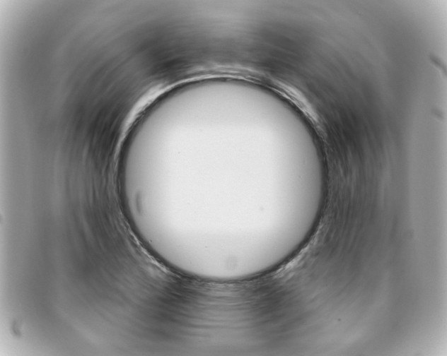 X0000094441172200711081019