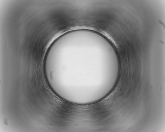 X0000094441173200711081019