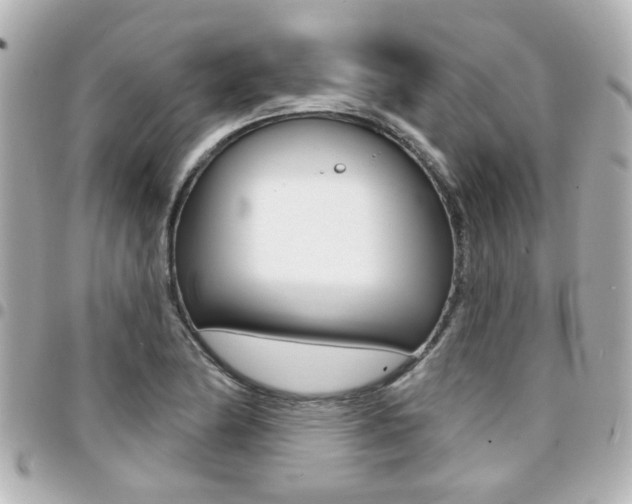 X0000094441174200711081019