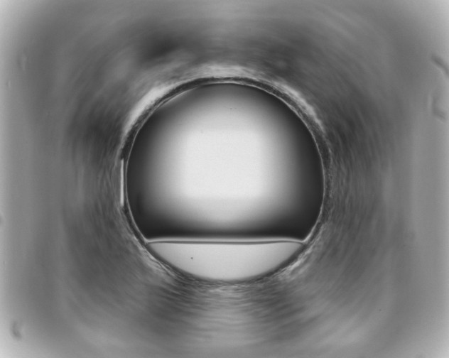 X0000094441175200711081019