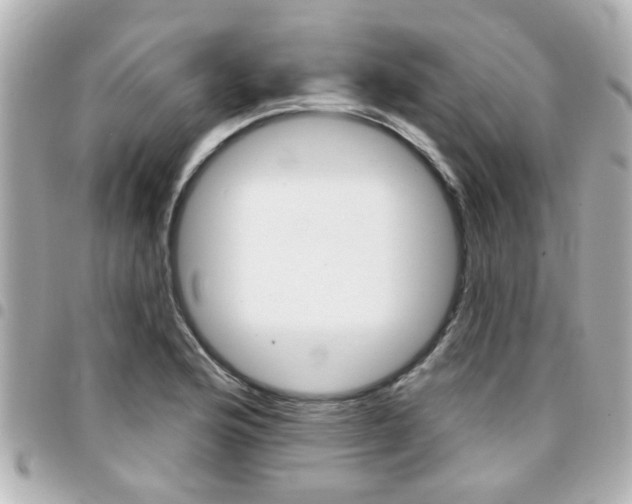 X0000094441176200711081019