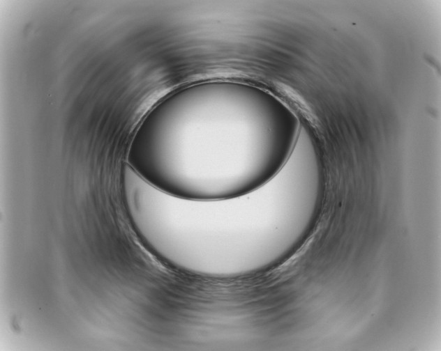 X0000094441177200711081019