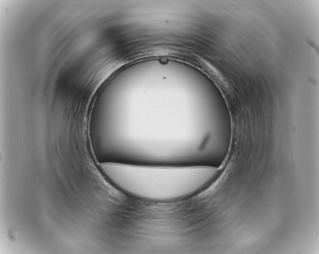 X0000094441178200711081019